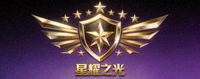 顶级电竞战队‘星耀之光’的官方战队标志：金色星辰与盾牌组合
