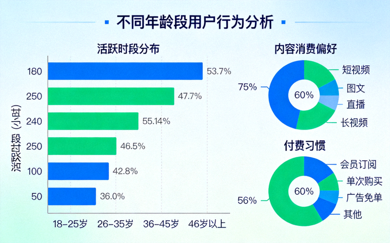 用户行为分析图表：展示不同年龄段用户活跃时段、内容消费偏好和付费习惯的条形图与饼图组合